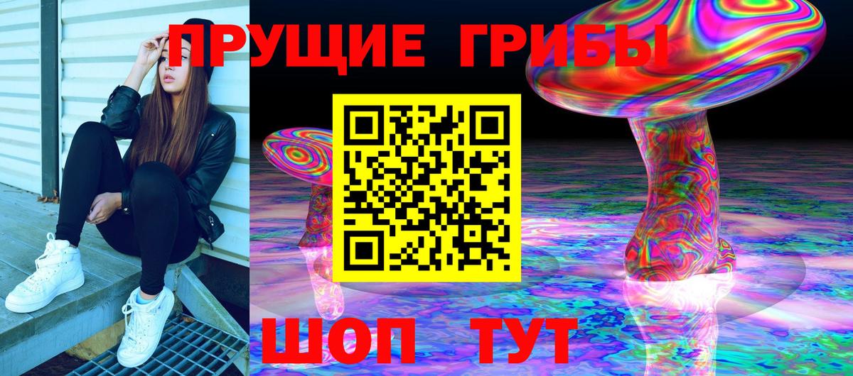 Коряжма  хочу   Вход с VPN  Галлюциногенные грибы Magic Shrooms 